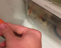 dog eating carrots door