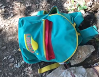 Dog inside teal backpack