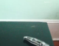 cat grabs pocket knife