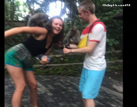 Man Slapped By Monkey on Cinder Block Sidewalk