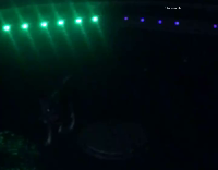 Dog Attacks Blue Water Fountain