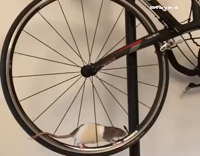 Pet Rat Enjoys Bicycle Wheel