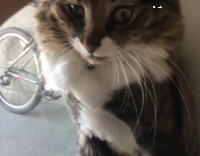 When you realize you made a huge mistake 