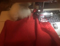 Collab AnimalsDT - A Cat And A Sewing Machine