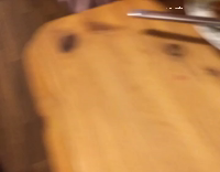 Rosie the cat begs for food 