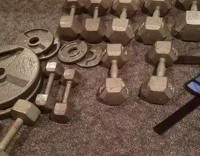 Black Lab Working Out on a Treadmill Owner Filming in Gym