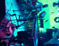 Man With Duck On Head Walks Through Band