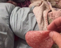 Dog between cushions salami