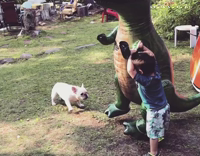 Little boy blowup trex white frenchie fall over