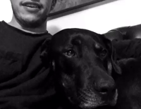 Black and white dog finishes lyrics