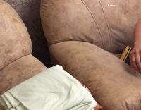 Cat loves jumping on sofa