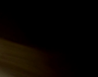 Collab AnimalsDT - Cat Doesn't Like Getting Pulled By Leash