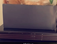 Kitten protects box at all costs 