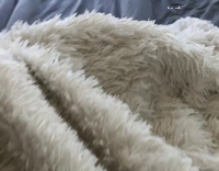Dog Wrapped Up In Blanket Falls Off Purple bed