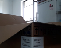 Dog held outside of box