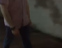 Man In Button Down Shirt Runs Down Sidewalk and Dives Into Bush