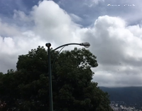 two birds one hits other