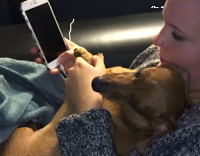 Girl has dogs fingerprint set on her iphone