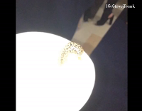 slug night adventures