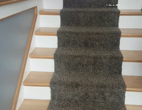 white dog falling down the stairs