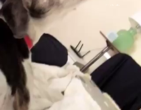 When you howl too hard