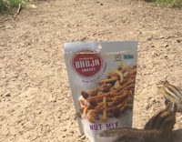 Squirrel Playing With Bag of Mixed Nuts