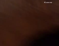 parrot making noises and dog barking at noises