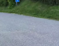 Man in Jacket and Jeans Runs Accross Road and Head First Into Traffic Signs