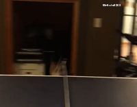 german shepherd pup ping pong