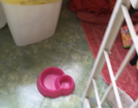 Black puppy head in pencil case