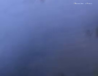 Man catches fish with hand in lake