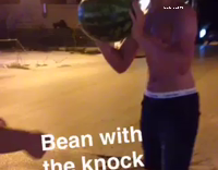 Bean With The Knockout Watermelon
