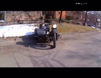 Dog Cruises Around In Motorcycle 