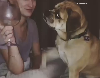dog insists on wine