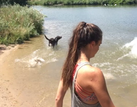 Collab AnimalsDT - Black Lab Swims Like Dolphin